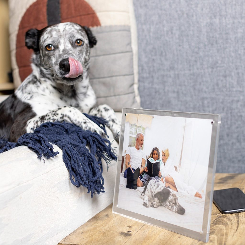 Best EMF Protection for Home & Office Environments