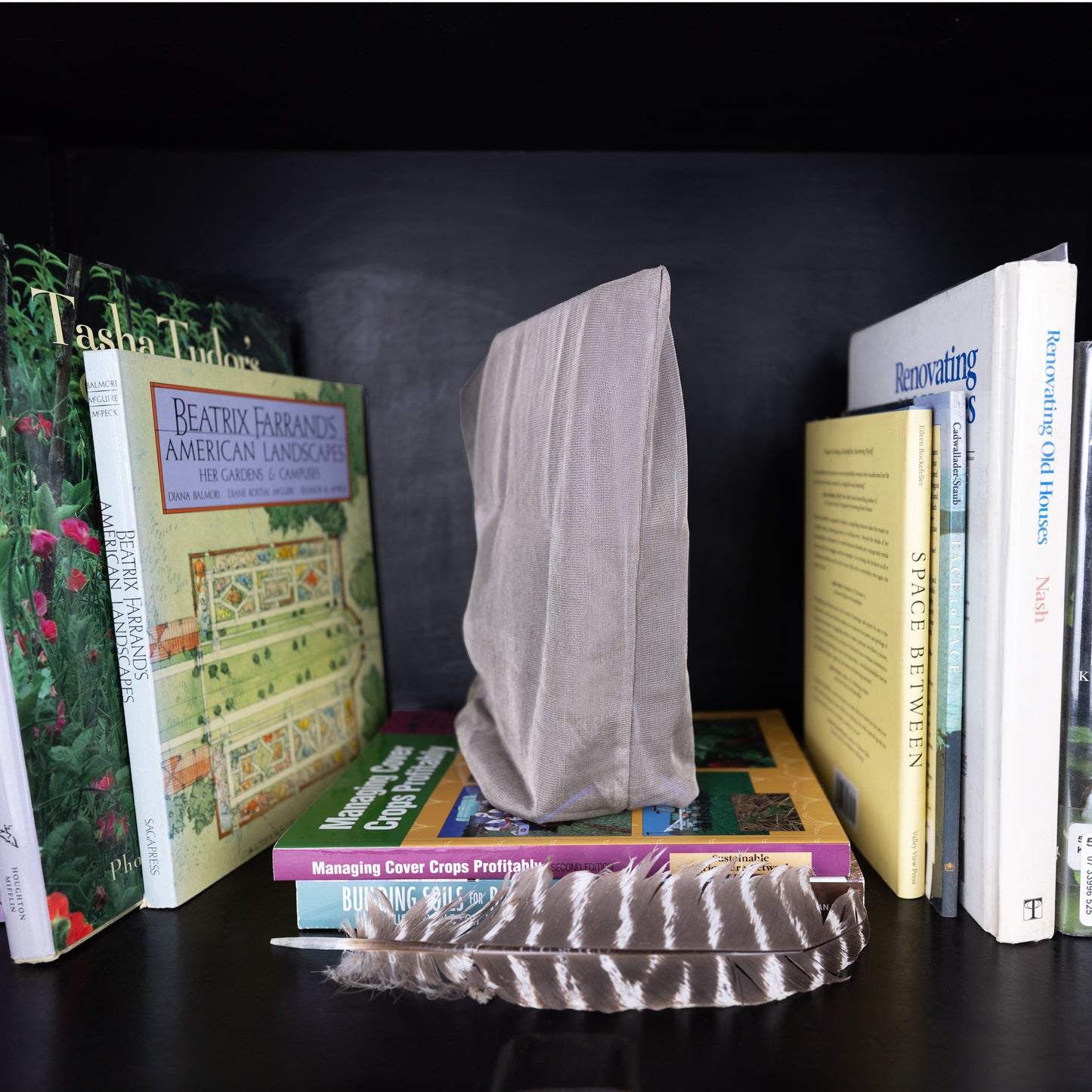 WiFi Signal Tamer displayed among books on dark shelf, with feather and fabric pouch visible.