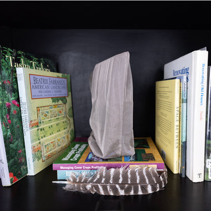 WiFi Signal Tamer displayed among books on dark shelf, with feather and fabric pouch visible.