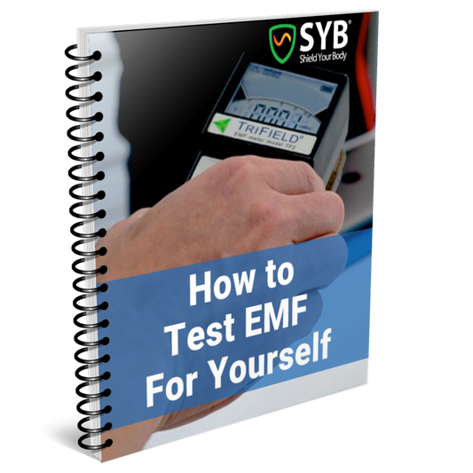 SYB 'How to Test EMF For Yourself' Ebook