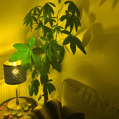 Ocushield Blue Light Blocking Light Bulb