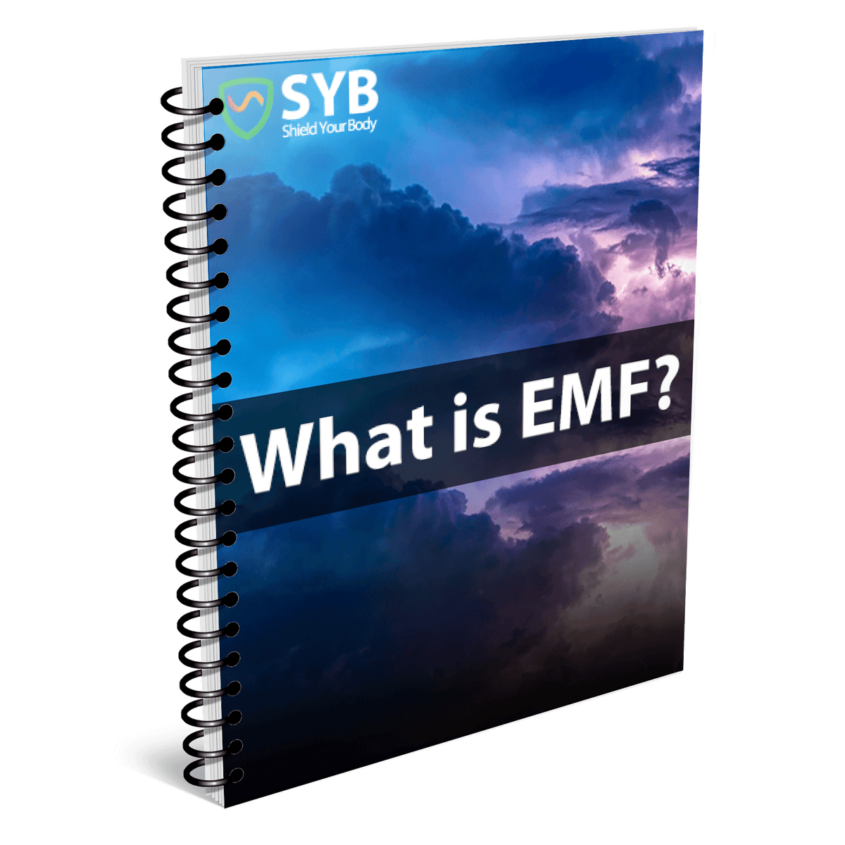 Amazon Syb EMF Ebook — What Is EMF & Why Should You Care | SYB | SYB