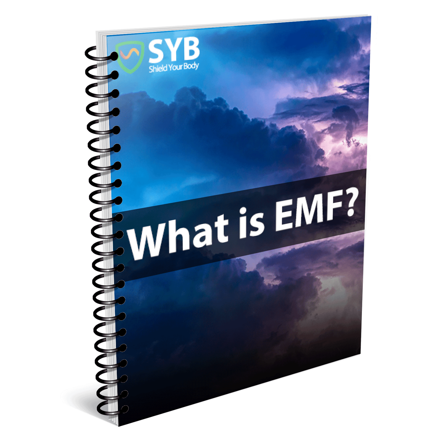 SYB 'What is EMF?' Ebook