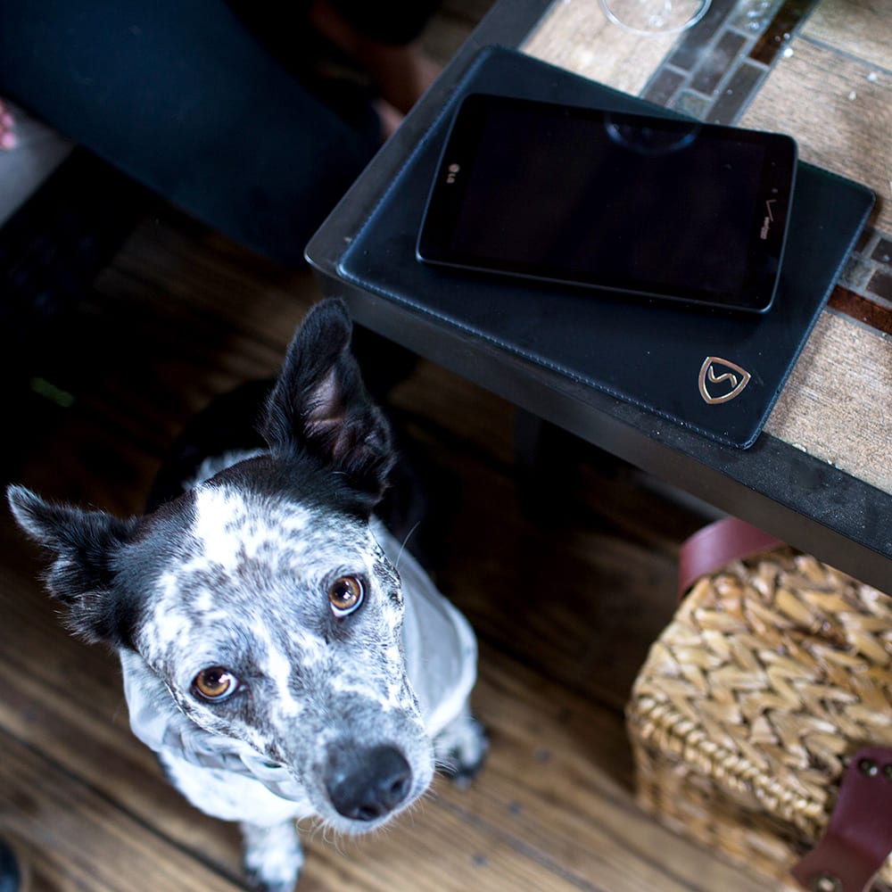 SYB Tablet Pad in black with shield logo, positioned on wooden desk next to a spotted dog looking up at camera.