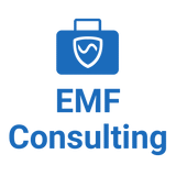SYB EMF Consulting Services