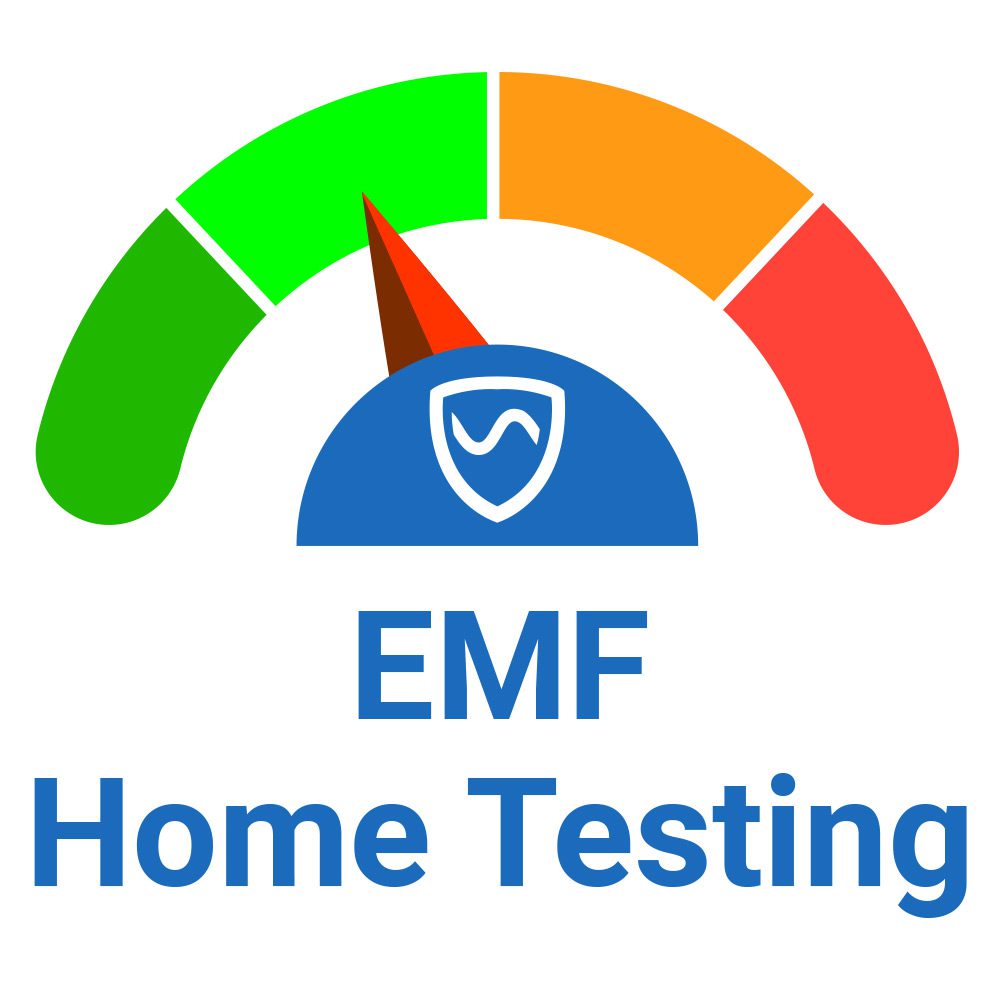 SYB EMF Home Testing Consulting logo featuring a blue shield with white wave icon, surrounded by a colorful gauge meter in green, orange, and red.